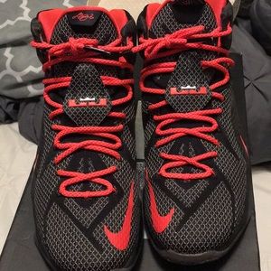 Lebron 12 Court Vision